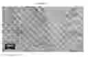 Fig. 26 - Small mobile stem cells (SMS) and uses thereof