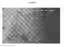 Fig. 30 - Small mobile stem cells (SMS) and uses thereof