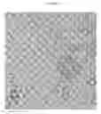Fig. 32 - Small mobile stem cells (SMS) and uses thereof