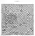 Fig. 33 - Small mobile stem cells (SMS) and uses thereof