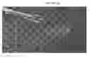 Fig. 45 - Small mobile stem cells (SMS) and uses thereof