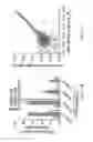 Fig. 43 - Variants of Cpf1 (Cas12a) with altered PAM specificity