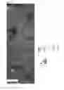 Fig. 02 - Copper alloy material for automobile and electrical and electronic components and method of producing the same
