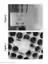 Fig. 02 - Particle size purification method and devices