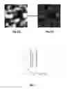 Fig. 06 - Method of locally imaging a structure in a sample at high spatial resolution in order to detect reactions of an object of interest to altered environmental conditions