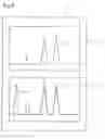 Fig. 09 - Chromatograph with integrated display unit