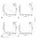 Fig. 06 - Method of creating characteristic peak profiles of mass spectra and identification model for analyzing and identifying microorganizm
