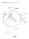 Fig. 32 - Eye mounted intraocular displays and systems