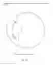 Fig. 74 - Eye mounted intraocular displays and systems