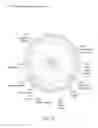 Fig. 80 - Eye mounted intraocular displays and systems
