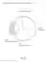 Fig. 89 - Eye mounted intraocular displays and systems