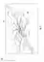 Fig. 02 - Thermal management of RF devices using embedded microjet arrays
