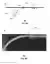 Fig. 07 - Repeater and methods for use therewith