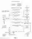 Fig. 02 - Secure permissioning of access to user accounts, including secure deauthorization of access to user accounts