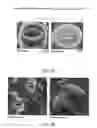 Fig. 06 - CROP GROWTH ENHANCEMENT TECHNOLOGY