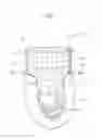 Fig. 02 - Absorbent article for animals