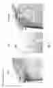 Fig. 09 - HYDROXYBUTYRATE ESTER AND MEDICAL USE THEREOF