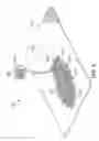 Fig. 06 - Embroidered foaming cords for midsoles