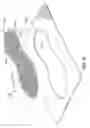Fig. 07 - Embroidered foaming cords for midsoles