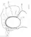 Fig. 02 - Waterproof hair accessory