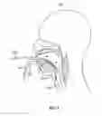 Fig. 02 - APPARATUS AND METHOD FOR FLEXIBLE BOUGIE AND STYLET FOR DIFFICULT INTUBATIONS