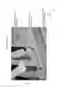 Fig. 12 - System for simulation for the development and optimization of person specific surgical methods and materials: thorax simulation apparatus, system and process