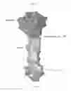 Fig. 17 - System for simulation for the development and optimization of person specific surgical methods and materials: thorax simulation apparatus, system and process