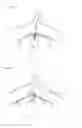 Fig. 08 - TRANSCATHETER INSERTION SYSTEM