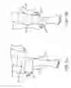 Fig. 07 - Graduated compression device for the treatment of circulatory disorders