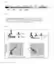 Fig. 02 - MUTEINS OF TEAR LIPOCALIN AND METHODS FOR OBTAINING THE SAME