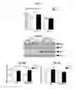 Fig. 08 - Methods and compositions for treating neurodegenerative and neuroinflammatory conditions