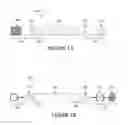 Fig. 02 - NUCLEIC ACID VACCINES