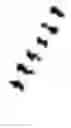 Fig. 02 - ANTIBODY ADJUVANT CONJUGATES