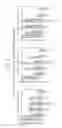 Fig. 12 - MMP-SENSITIVE TAXANE PRODRUG
