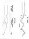 Fig. 02 - Immunostimulatory compositions and methods of use thereof