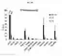 Fig. 07 - Trifunctional constructs with tunable pharmacokinetics useful in imaging and anti-tumor therapies