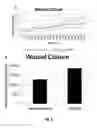 Fig. 06 - Vascular extracellular matrix hydrogel