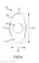 Fig. 07 - Kit for treatment of sinusitis