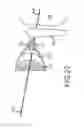 Fig. 22 - Kit for treatment of sinusitis