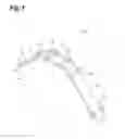 Fig. 02 - MICRONEEDLE SHEET