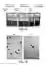 Fig. 02 - Method of producing metallic nano particle colloidal dispersions