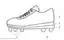 Fig. 01 - Shoe member, shoe, and method for producing the same