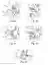 Fig. 04 - Method for mounting a backrest structure of a vehicle rear seat, pivot support of a fold-over backrest structure of a vehicle rear seat