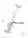 Fig. 02 - Steering device support structure for vehicle