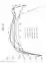 Fig. 22 - Glasses and glass ceramics including a metal oxide concentration gradient
