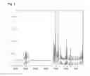 Fig. 02 - Manufacturing process for triazine, pyrimidine and pyridine derivatives