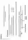 Fig. 07 - Compositions and methods directed to treating liver fibrosis