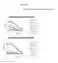 Fig. 43 - Broadly neutralizing HIV-1 antibodies that bind to the CD4-binding site of the envelope protein