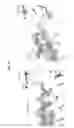 Fig. 85 - Broadly neutralizing HIV-1 antibodies that bind to the CD4-binding site of the envelope protein