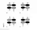 Fig. 08 - DUAL SPECIFICITY POLYPEPTIDE MOLECULE